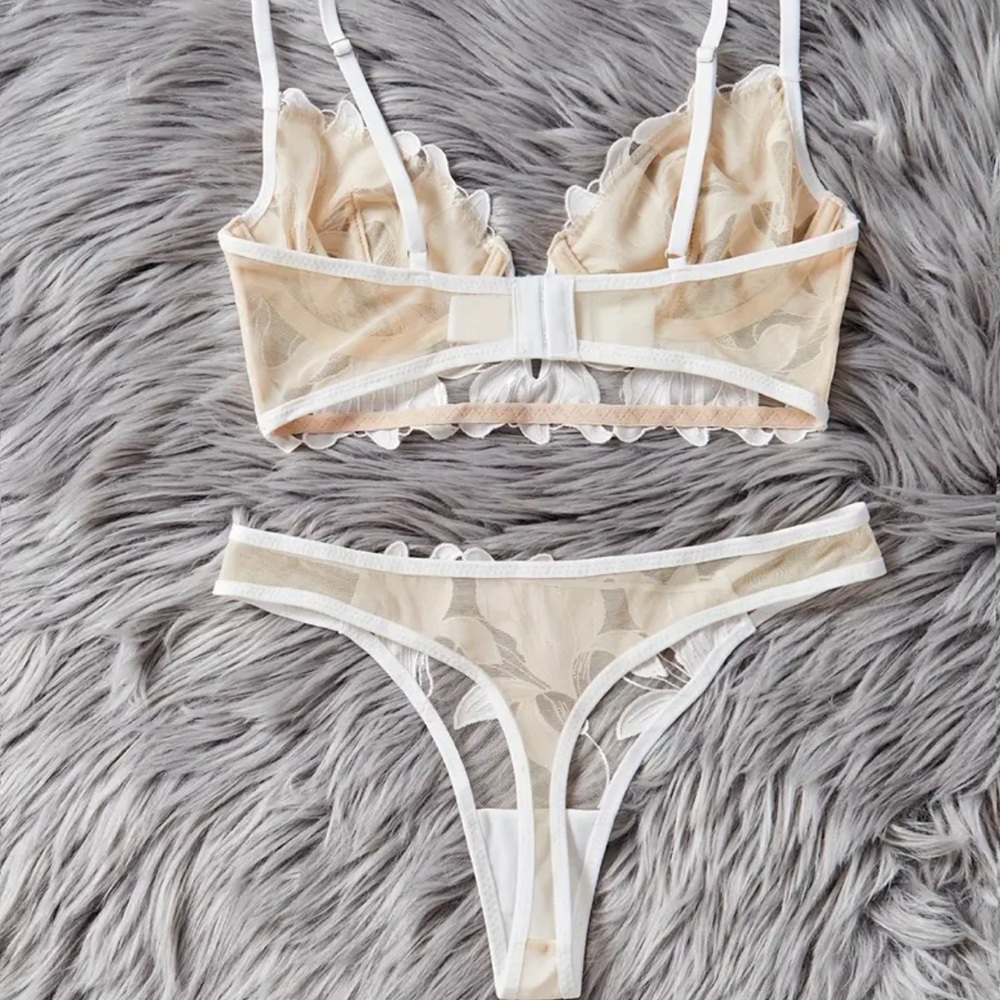 IZA Lotus Ivory Satin Embroidered Over Sheer Mesh Deep V Bustier Bra & Panties - Picture 7 of 15